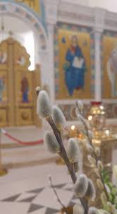 Dimanche des Rameaux: Mgr Jean, métropolite de Chersonèse et d’Europe occidentale, a célébré la Divine Liturgie en la cathédrale de la Sainte Trinité à Paris