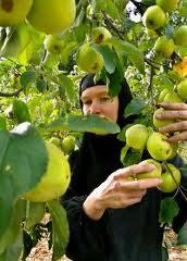 Le monastère de Solan : un greffon athonite sur le cep français (partie II)