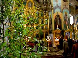 Pourquoi les églises sont-elles décorées de branches de bouleau le jour de la Pentecôte ?