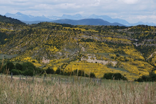 Espagne : Onze lieux saints où il faut se rendre