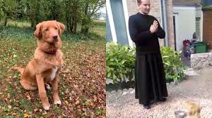 Pastis, le chien de la paroisse de la cathédrale d'Amiens, ne mange pas avant la fin du bénédicité