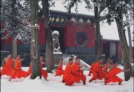 Sa Sainteté le Patriarche Cyrille rencontre Shi Yongxin, abbé du temple de Shaolin