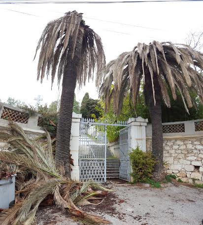 Une publication datée de 2012: Portes closes au cimetière russe de Nice  et photos récentes (2016)