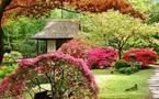 Prions pour le Japon !
