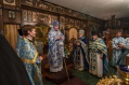 DSC_3517 DSC_3517